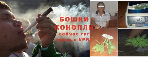 крисы Бронницы