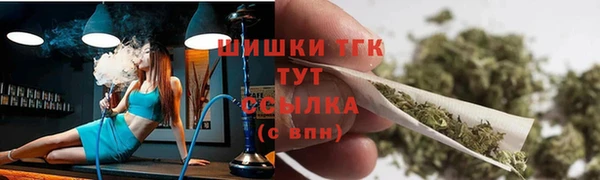 крисы Бронницы