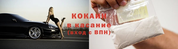 крисы Бронницы