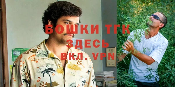 крисы Бронницы
