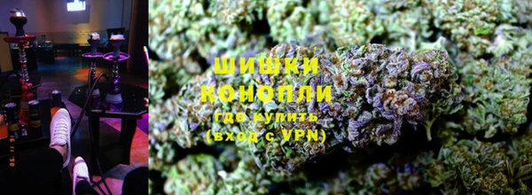 крисы Бронницы