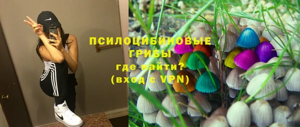 метадон Бородино