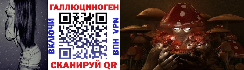 Псилоцибиновые грибы Psilocybe  Кологрив 